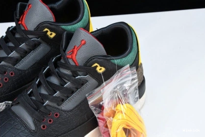 SE INSTINCT 2.0” 3 CV3583-003 JORDAN “ANIMAL AIR 1107